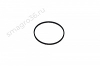 4386754 Кольцо уплотнительное пробки ГБЦ