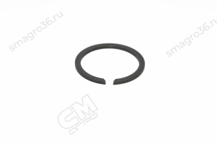 352815A1 Кольцо стопорное