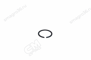 352378A1 Кольцо стопорное